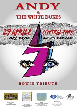 andy & the white dukes - bowie tribute