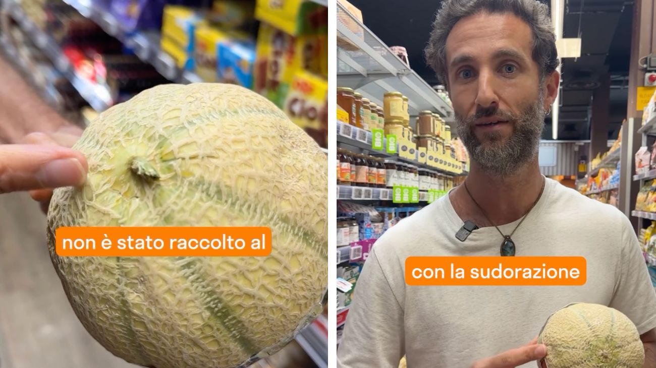 Attenzione quando scegliete il melone al supermercato: riconoscere quello giusto è facilissimo