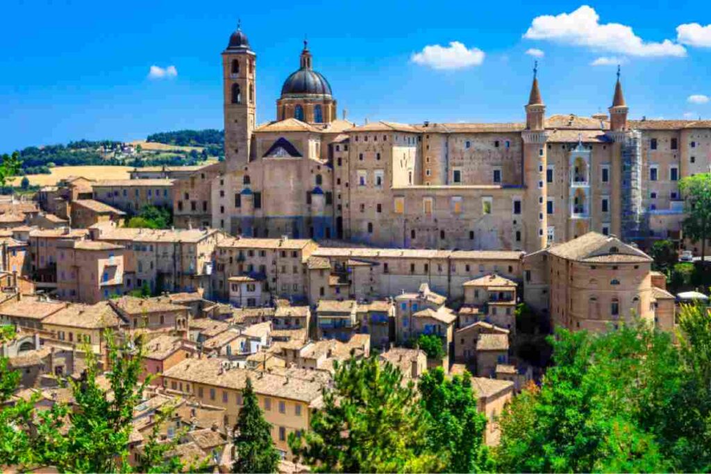 Urbino