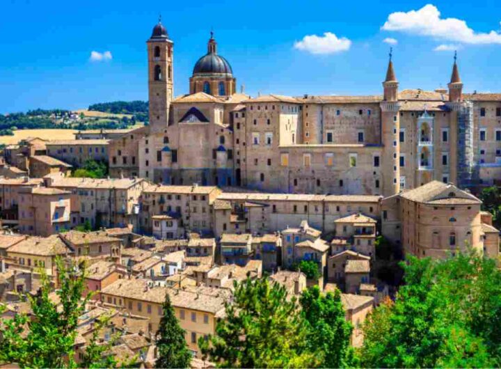 Urbino